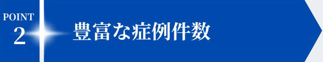 POINT2 豊富な症例件数