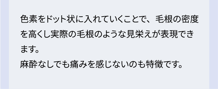 色素をドット状に入れていくことで、毛根の密度を高くし実際の毛根のような見栄えが表現できます。麻酔なしでも痛みを感じないのも特徴です。
